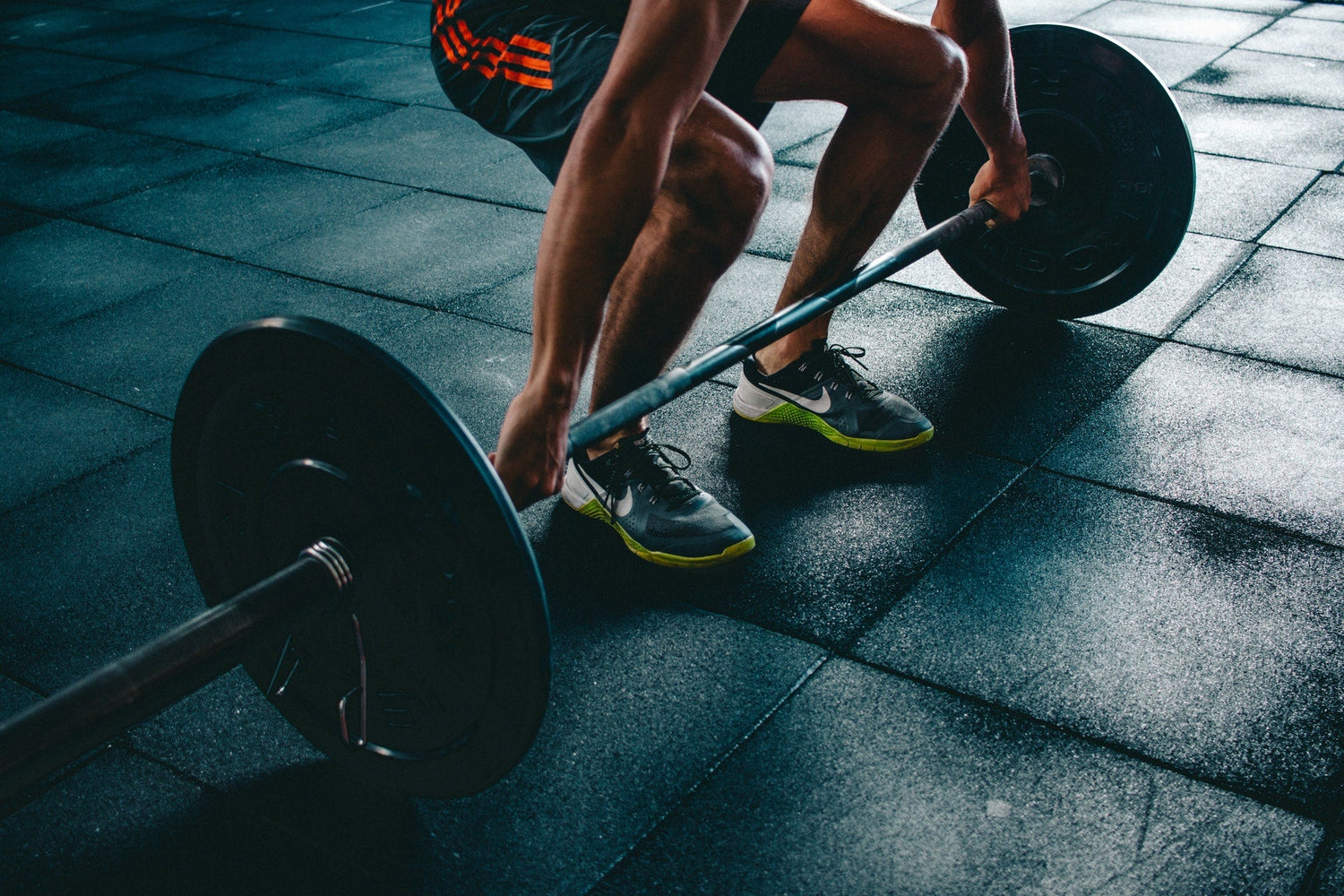 Fitness & Movement
