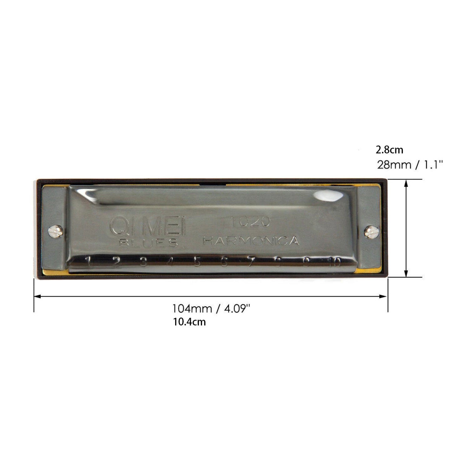 Harmonica Key of C 10 Hole Diatonic Harmonica C with Case for Beginner Students Kids Gift BLUES with case