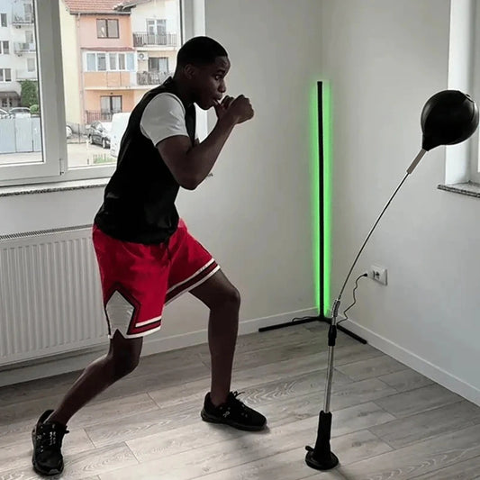 Cobra Punching Bag For Boxing Agility Training Home Fitness Equipment