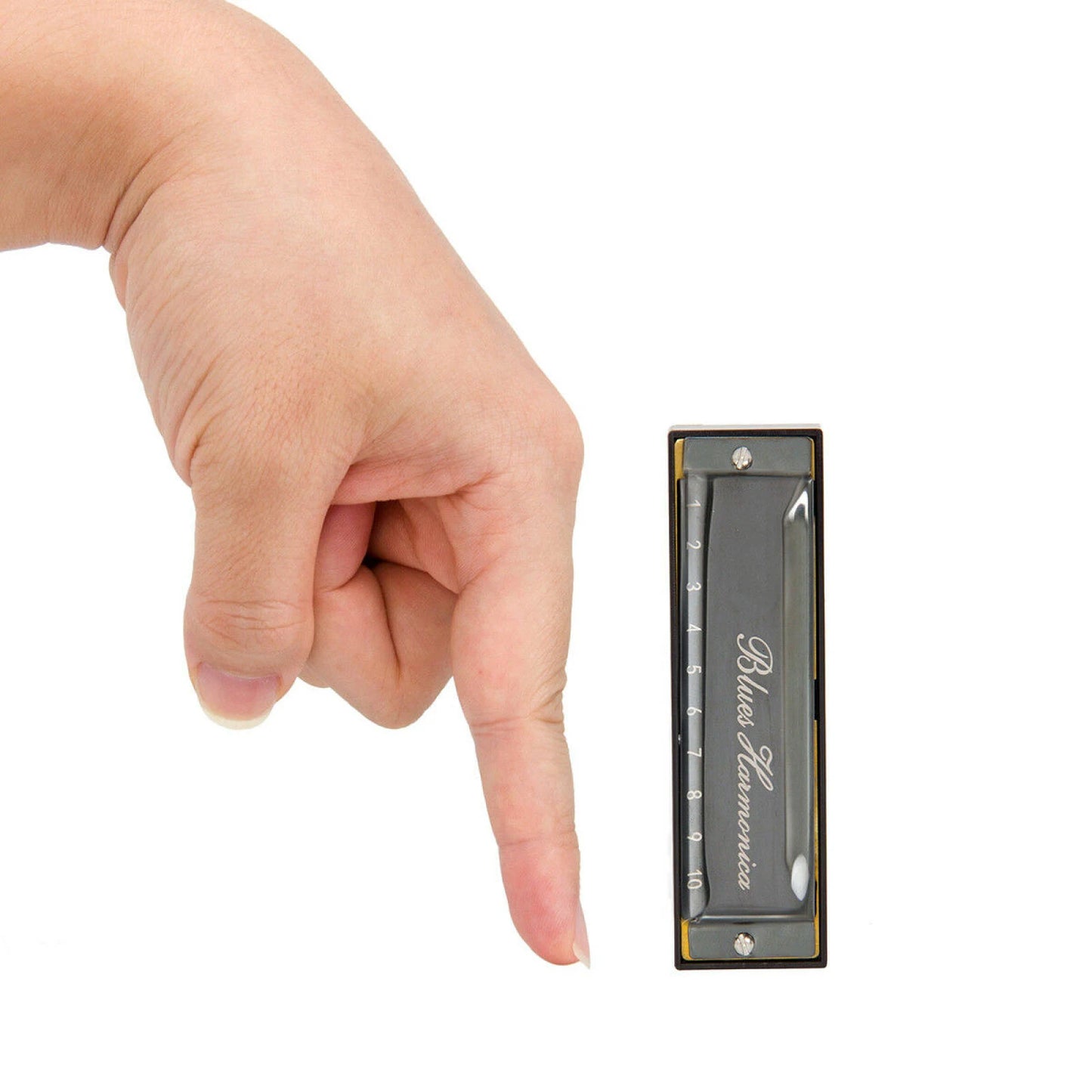 Brand New Stainless Steel Blues Harmonica French Harp Mouth Organ Phosphor Bronze 10 Hole Key of C Kids Instrument