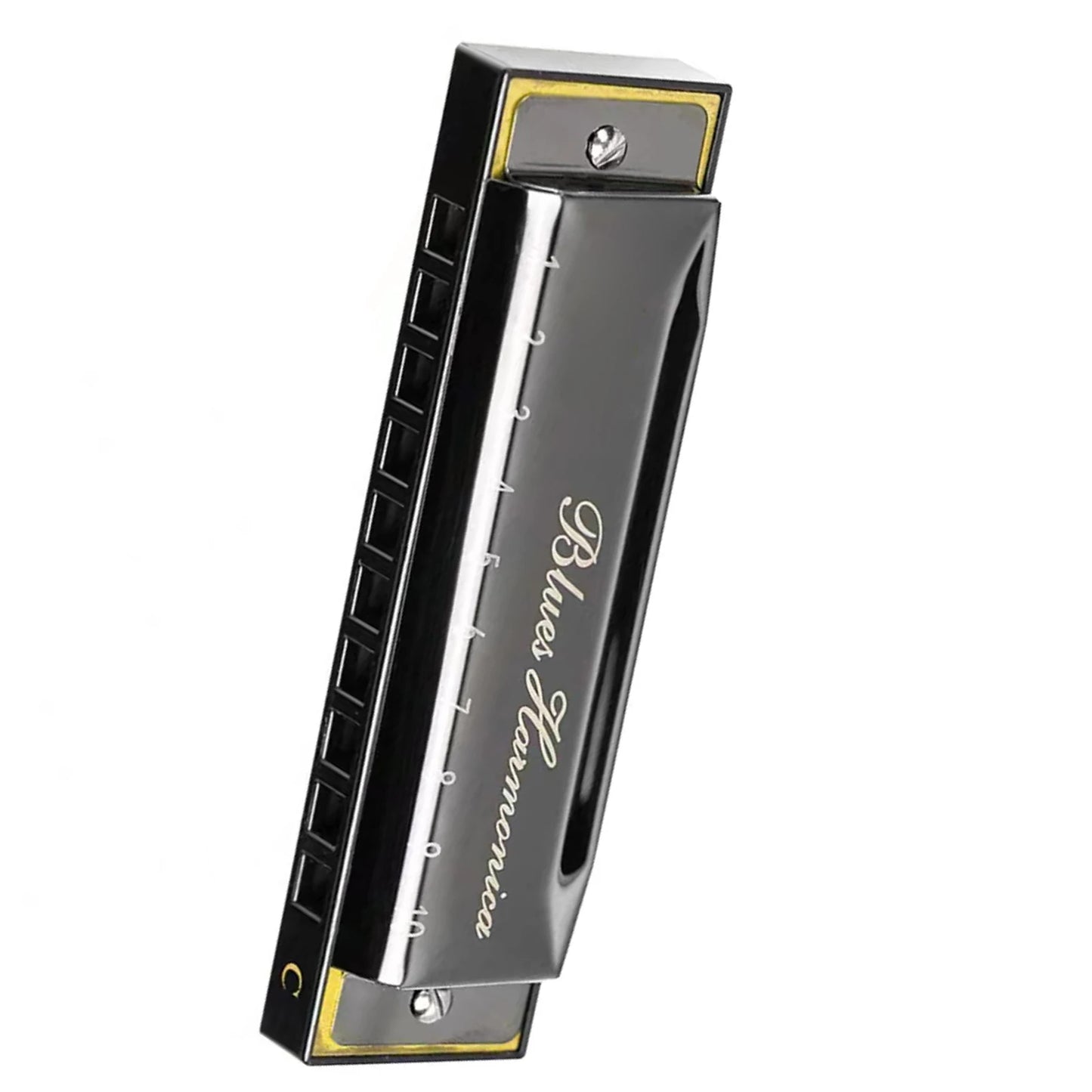 Brand New Stainless Steel Blues Harmonica French Harp Mouth Organ Phosphor Bronze 10 Hole Key of C Kids Instrument