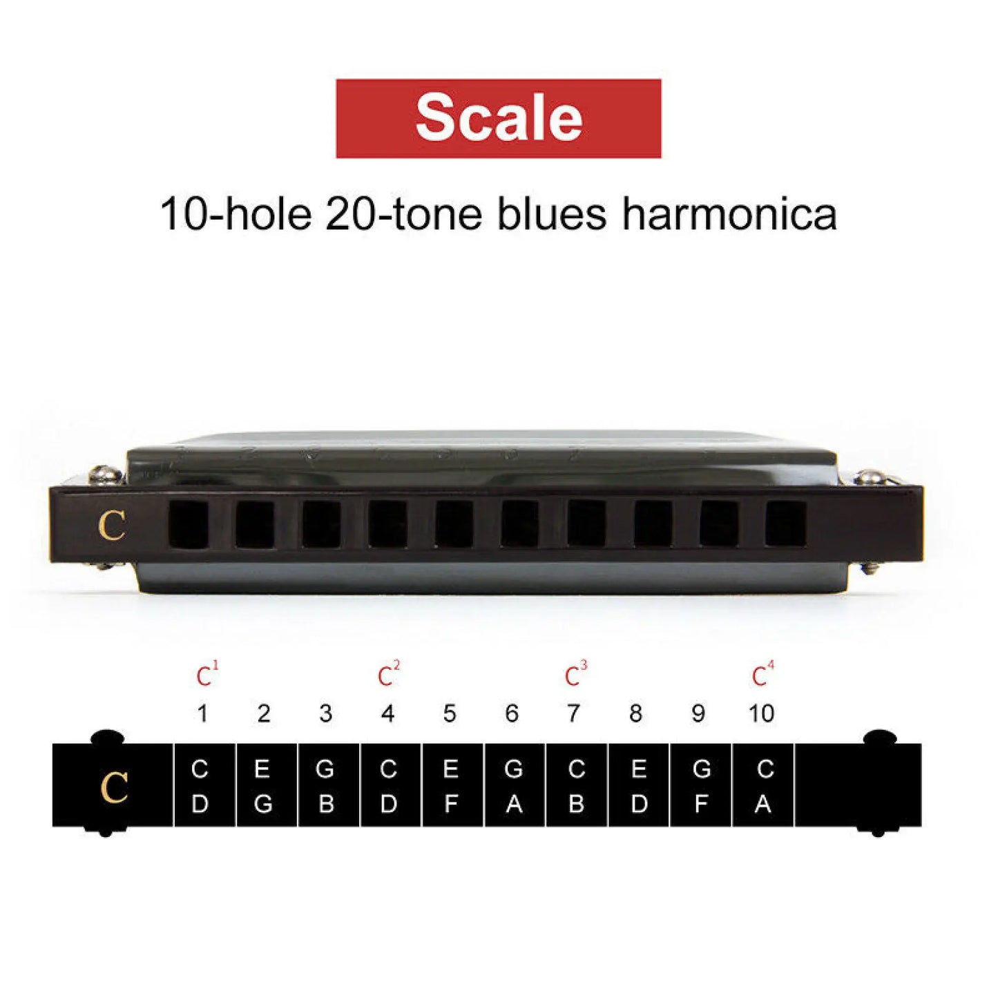 Harmonica Key of C 10 Hole Diatonic Harmonica C with Case for Beginner Students Kids Gift BLUES with case