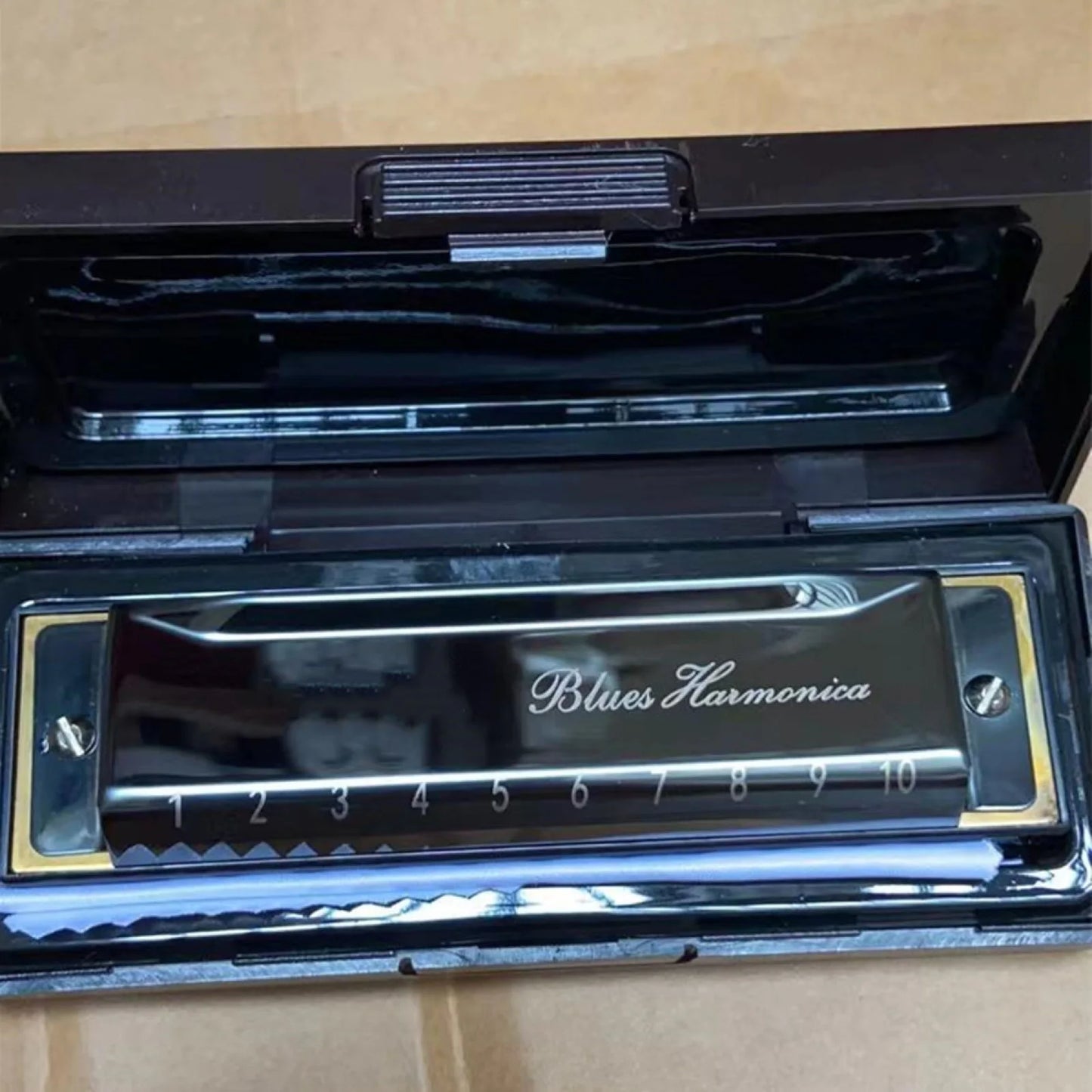Harmonica Key of C 10 Hole Diatonic Harmonica C with Case for Beginner Students Kids Gift BLUES with case